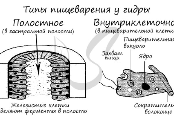 Что такое кракен сайт