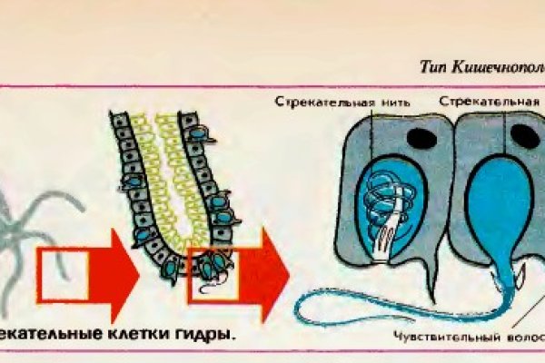 Кракен сайт 17at